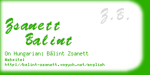 zsanett balint business card