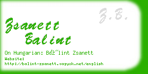 zsanett balint business card